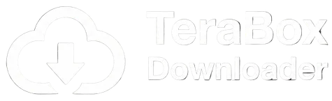 TeraBox Downloader